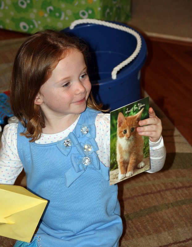 Kitten Card